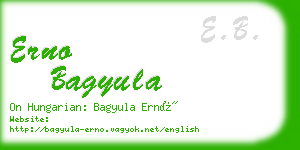 erno bagyula business card